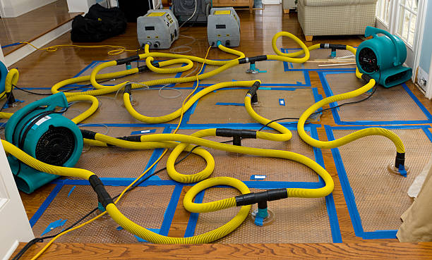 Professional Basement Flood Cleanup technician working in Westminster, SC